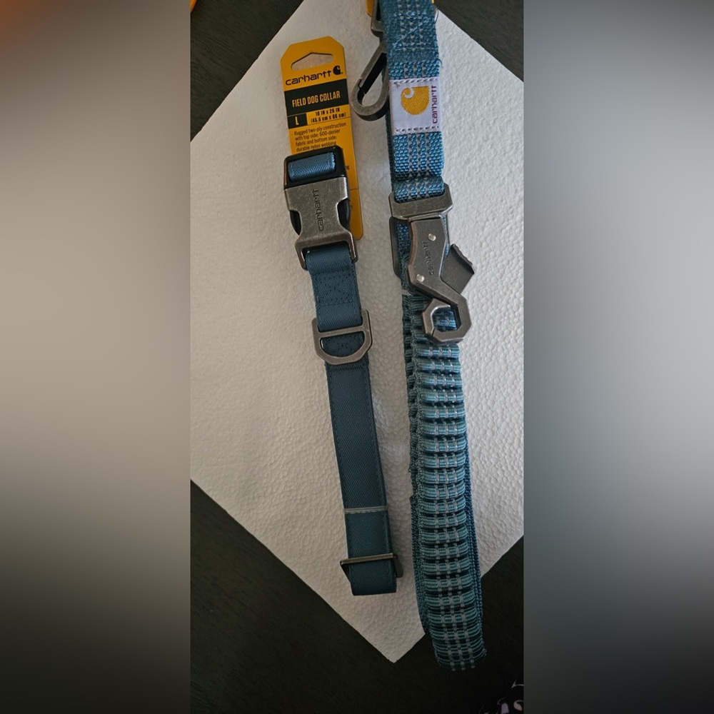 Carhartt Teal Field Dog Collar (L) and Carhartt Teal Shock Absorbing Leash (L)